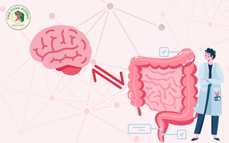Sự kết nối giữa ruột và não
